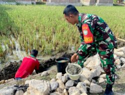 Babinsa Gampong Lamteube Mon Ara Bersama Warga Bahu-Membahu Bangun Parit