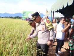Kapolres Aceh Besar Hadiri Panen Raya Padi Serentak 14 Provinsi Di Lamcarak Kecamatan Seulimeum