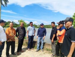 Sering Terendam Banjir, Puluhan Hektar Sawah di Kec. Simpang Tiga Gagal Tanam dan Gagal Panen.