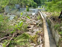 Petani Kemukiman Tanoh Abee Mengharapkan Bantuan Pemerintah Aceh Besar.