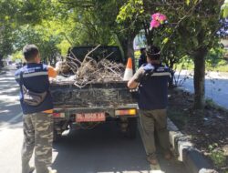 Dinas Lingkungan Hidup Mulai Eksakusi Instruksi Tentang Penataan Jalan Protokol