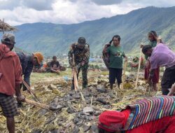 Gelar Tradisi Adat Bakar Batu, Satgas Yonif 112/DJ Dan Warga Merajut Kebersamaan Di Puncak Jaya
