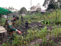 Satgas Yonif 112/DJ Dorong Program Ketahanan Pangan Nasional Di Papua