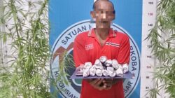 Sat Resnarkoba Polres Aceh Besar Kembali Musnahkan Ladang Ganja, 1( Satu) Orang Ditangkap